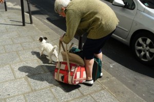 Der Hund als ständiger Begleiter für Senioren