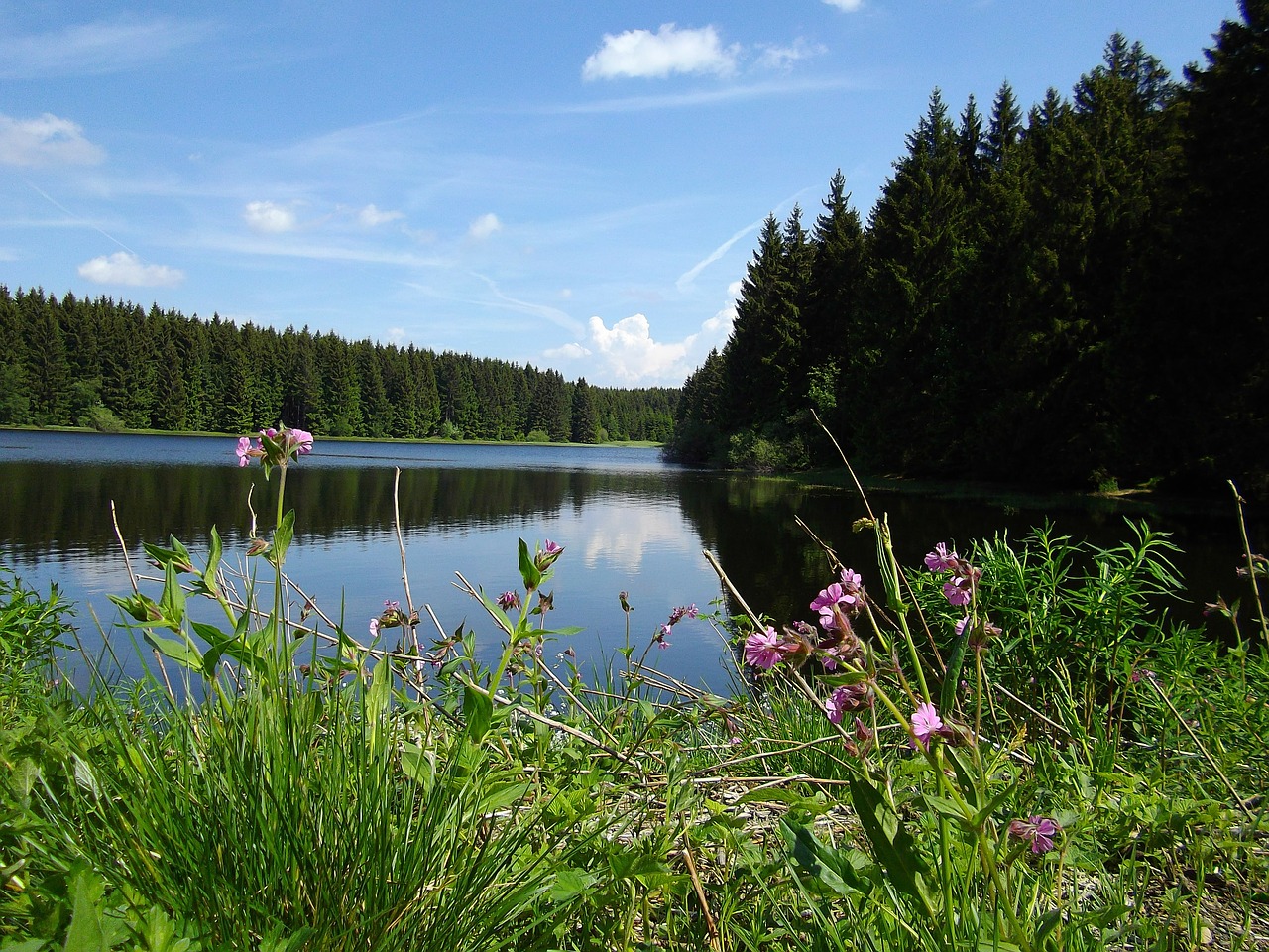Singlereisen harz
