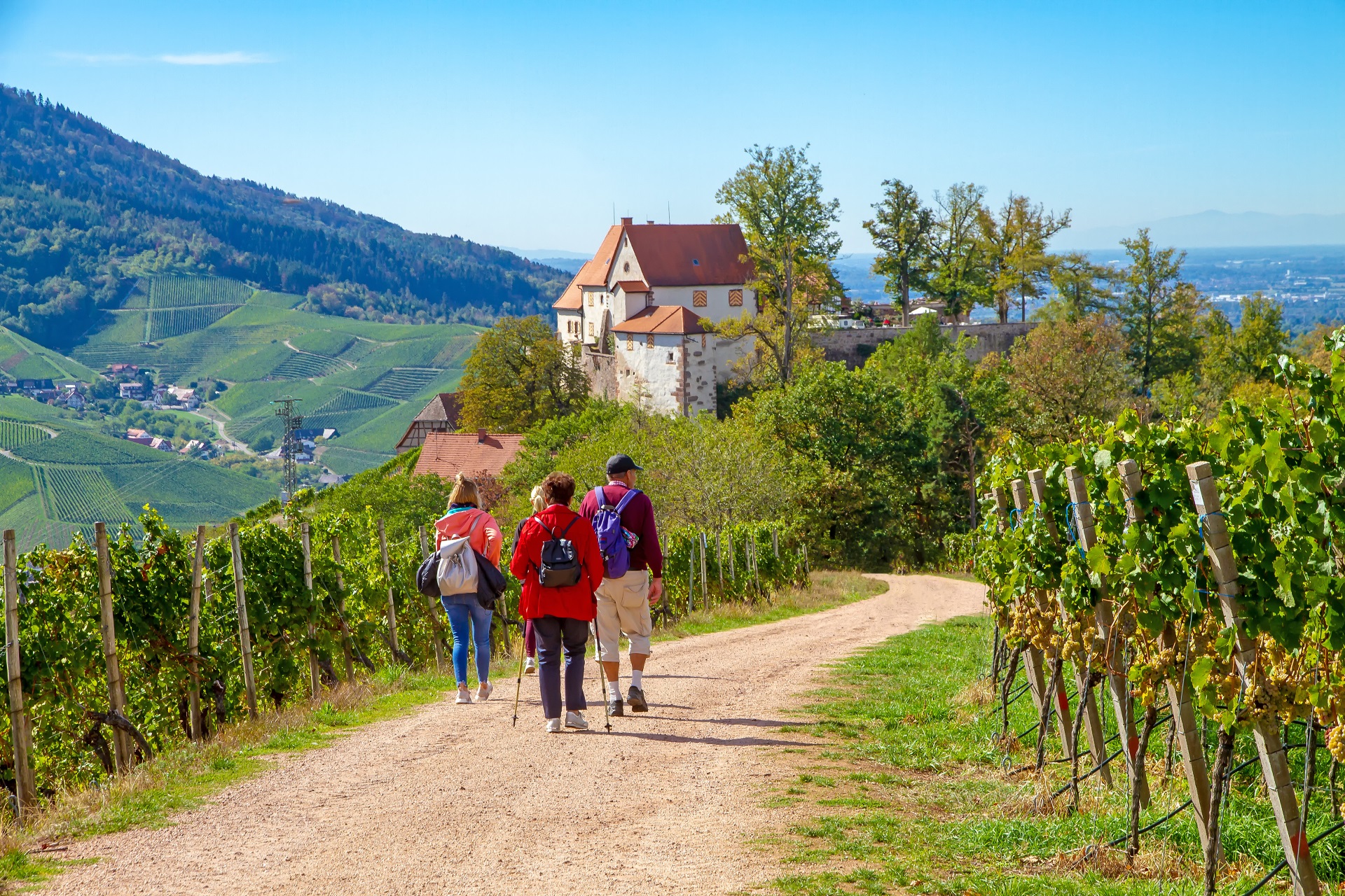 Singlereisen saarland